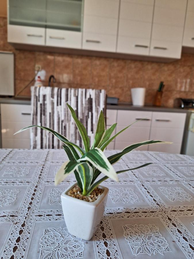 Apartament Mara Zadar Zewnętrze zdjęcie